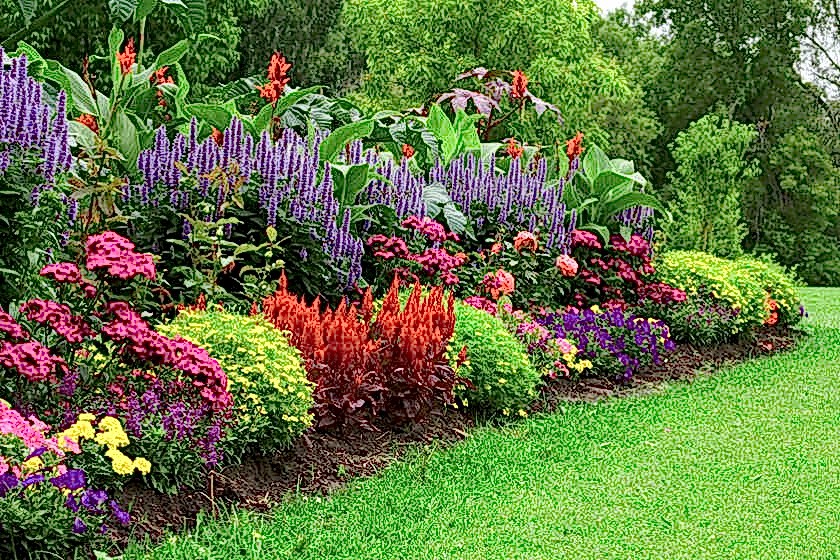 bahçe temizlik şirketi