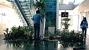 fabrika alanı temizlik