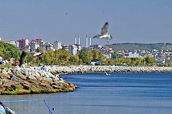 h-atasehir temizlik şirketimiz